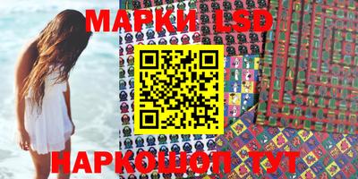 таблы Новозыбков