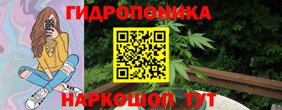 прущие крисы Новокубанск