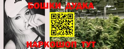 стафф Новодвинск