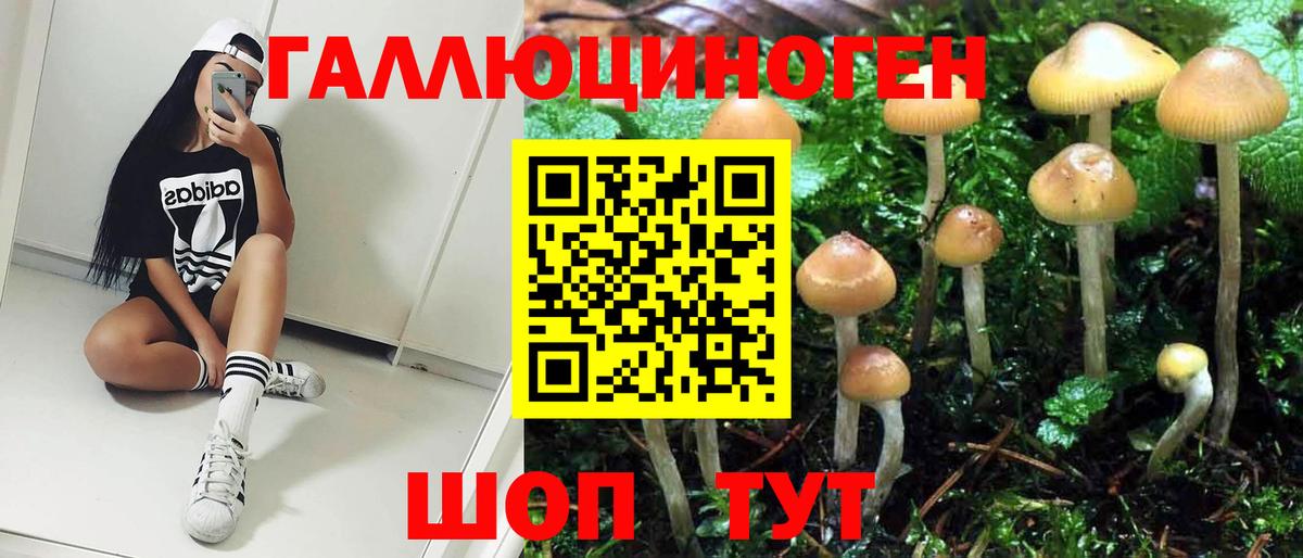 Псилоцибиновые грибы Psilocybe  Псилоцибиновые грибы GOLDEN TEACHER  Рыбинск  Вход с VPN 